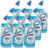 Lysol Oxi Action Toilet Bowl Cleaner