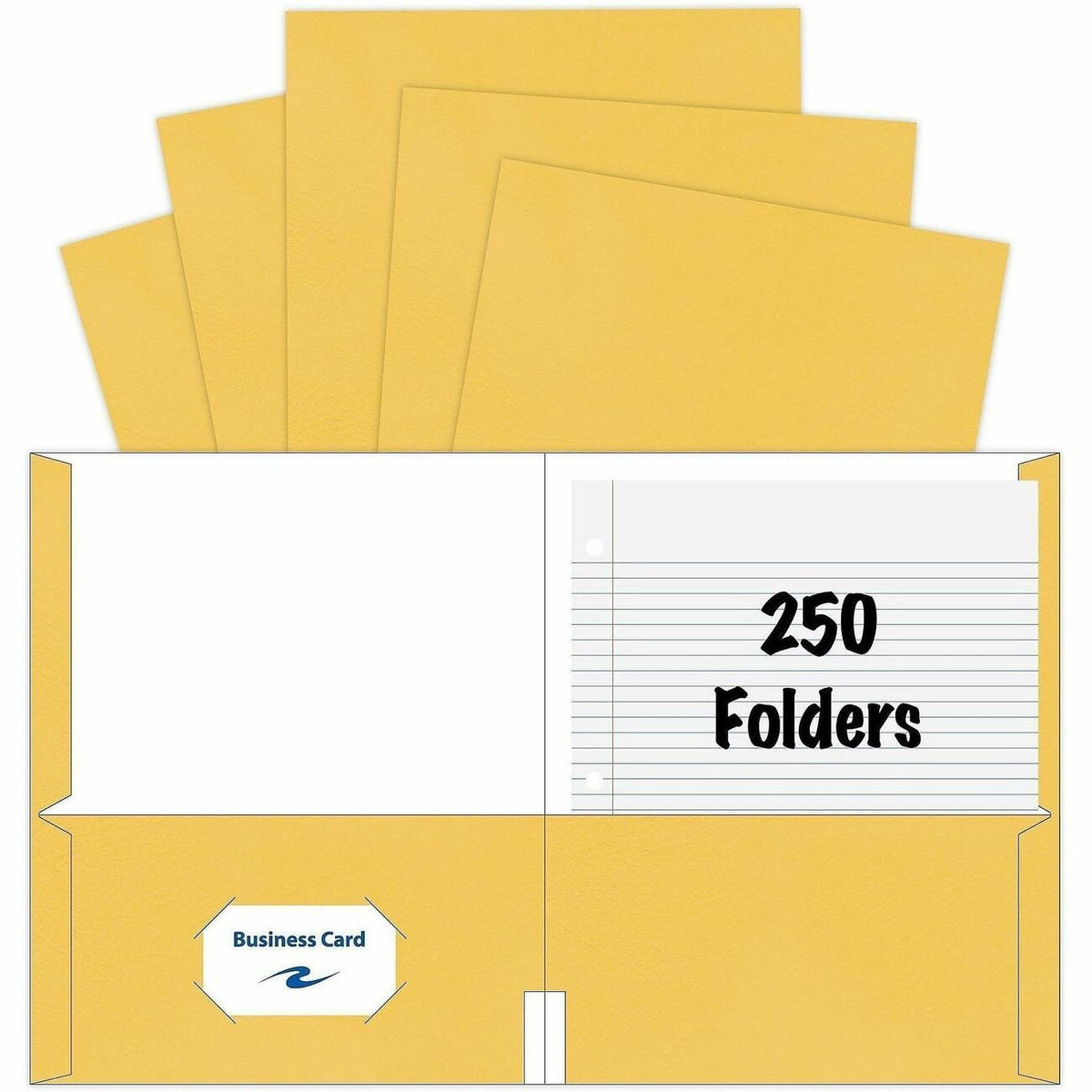 Roaring Spring Letter Pocket Folder