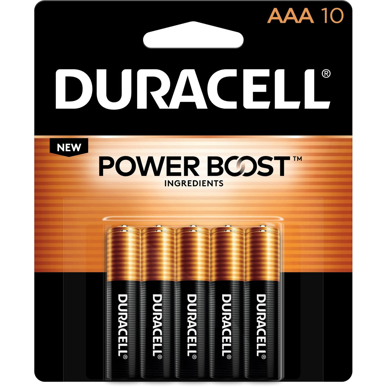 Battery Alka Aaa 10