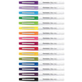 Paper Mate Flair BOLD Felt Tip Pens