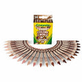 Crayola Crayon Colrwrld 24Pk