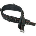 Tool Belt 3-Inch L Black