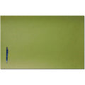 Paper Blotter Pk Gn 30X18