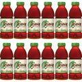 Tea Bottle Mint 16.9Oz