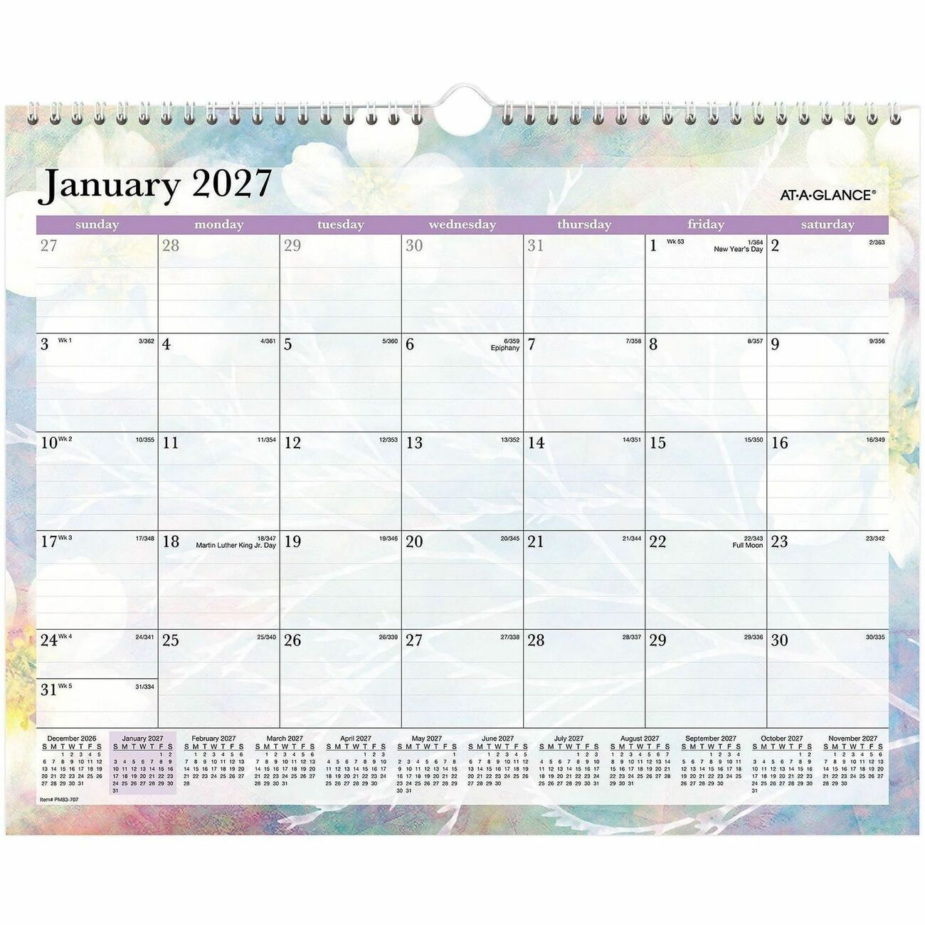 AT-A-GLANCE Wallcal Monthly Dreams Med