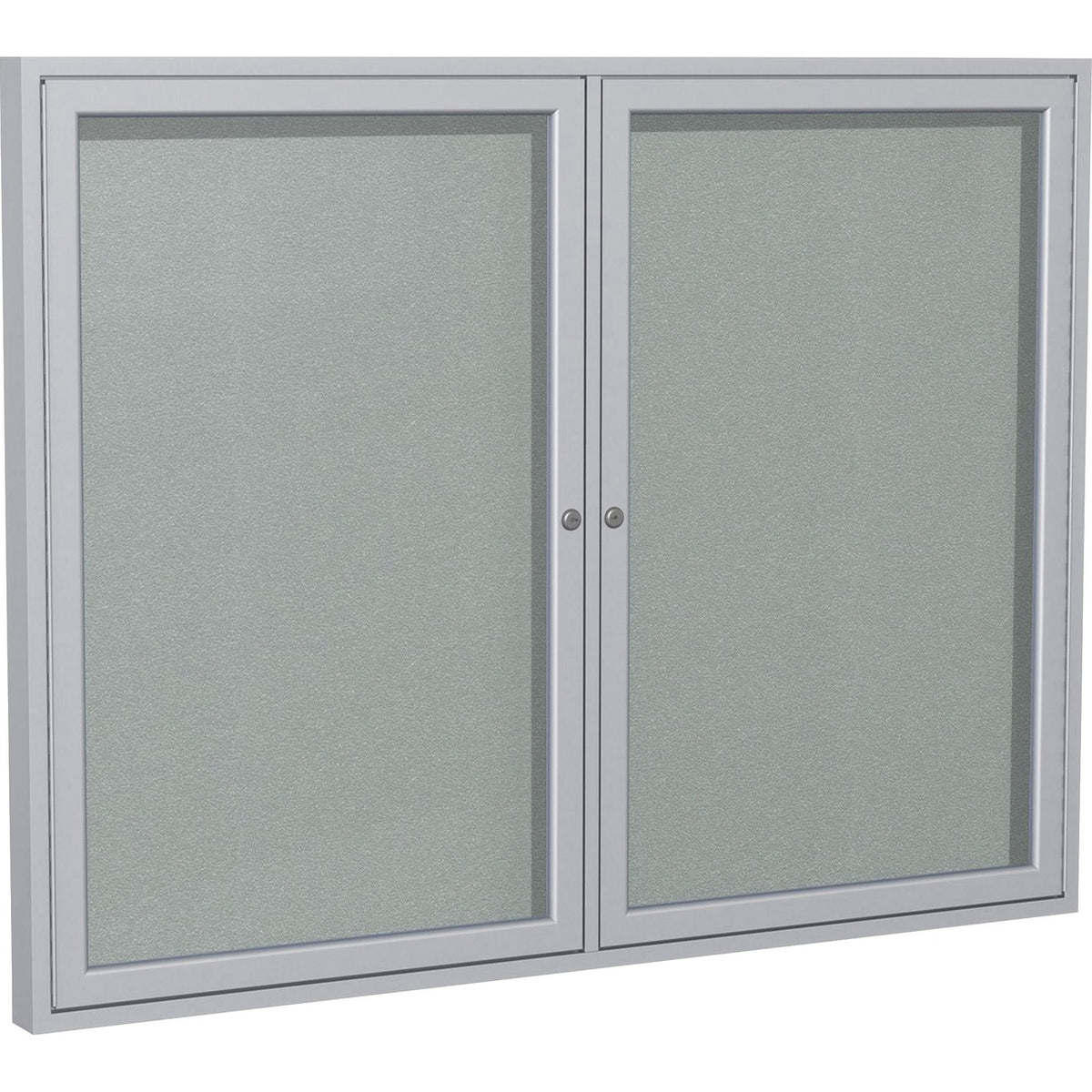 Board Enc 2Dr Alm 48X60 Slv
