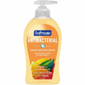 Soap Ktchnfrsh 11.25Oz