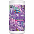 Clorox Wipes Dsnfct 75Cnt