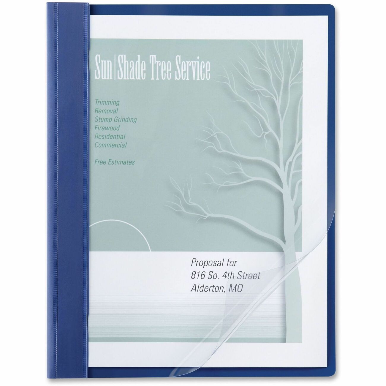 ACCO Cover Rpt Clr Frt 10Pk Blu