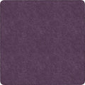 Rug Clsrm Seat Solid Amrsft