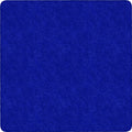 Rug Clsrm Seat Solid Amrsft