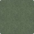 Rug Clsrm Seat Solid Amrsft