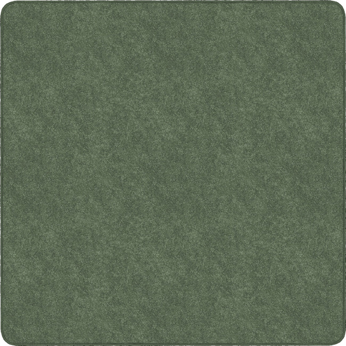 Rug Clsrm Seat Solid Amrsft