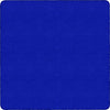 Rug Clsrm Seat Solid Amstrg