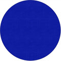 Rug Clsrm Seat Solid Amstrg