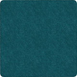 Flagship Carpets Amerisoft Solid Color Rug