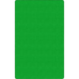 Flagship Carpets Ameristrong Solid Color Rug