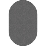 Flagship Carpets Amerisoft Solid Color Rug