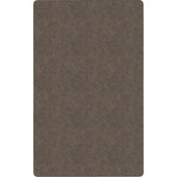 Flagship Carpets Amerisoft Solid Color Rug