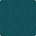 Rug Clsrm Seat Solid Amrsft