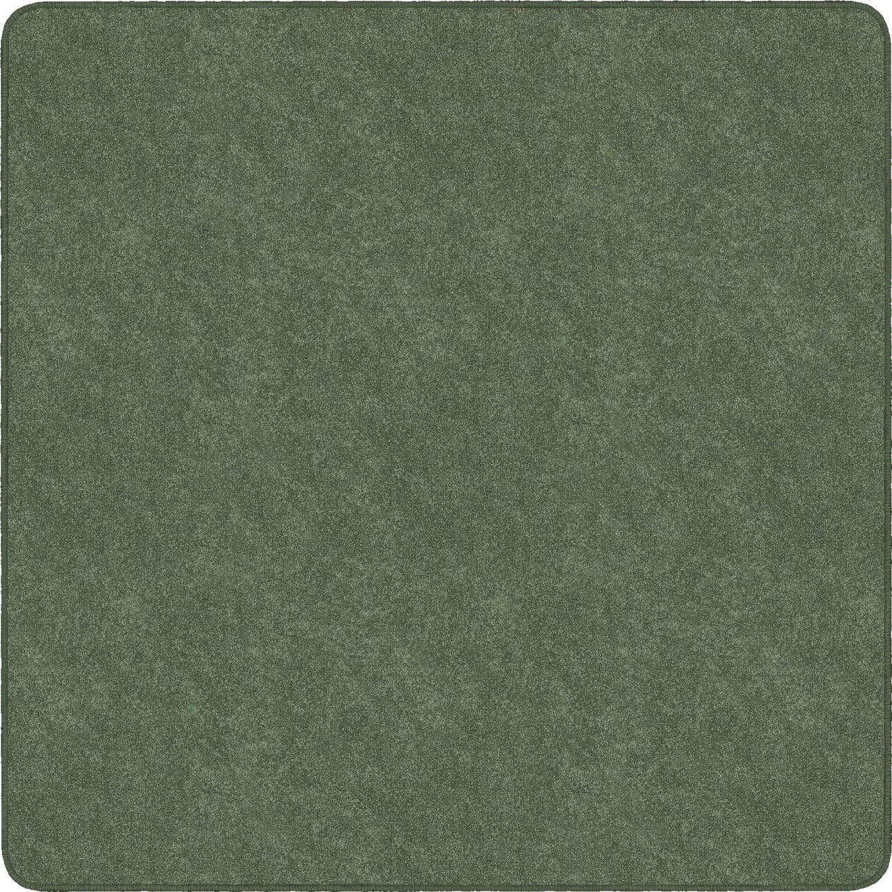 Rug Clsrm Seat Solid Amrsft