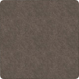 Flagship Carpets Amerisoft Solid Color Rug