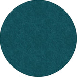 Flagship Carpets Amerisoft Solid Color Rug