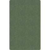 Flagship Carpets Amerisoft Solid Color Rug