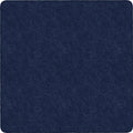 Rug Clsrm Seat Solid Amrsft