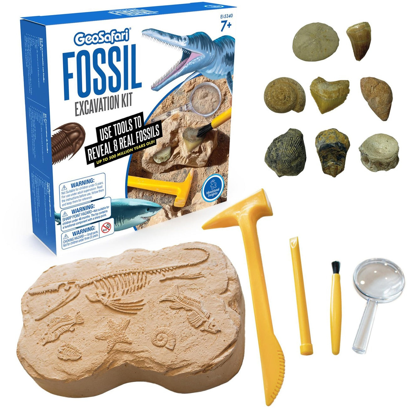 Kit Excavat Fosil Geosafari