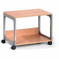 Durable Trolley Multi Function Bn