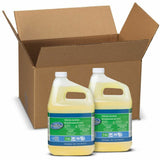 P&G Luster Chlorine Sanitizer