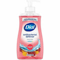 Dixon Soap Liq Ab 11Oz 12