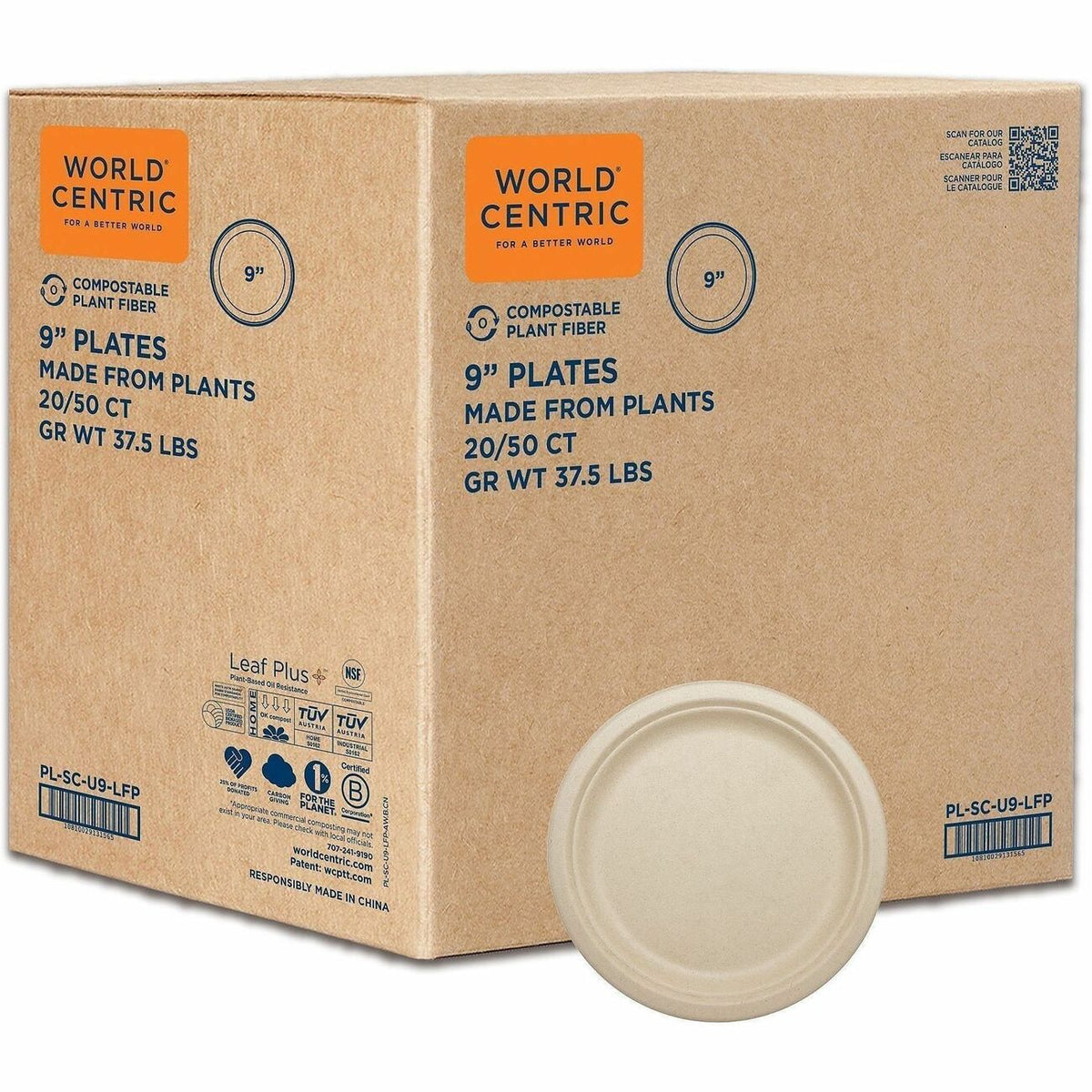 World Centric Compostable Fiber Plate