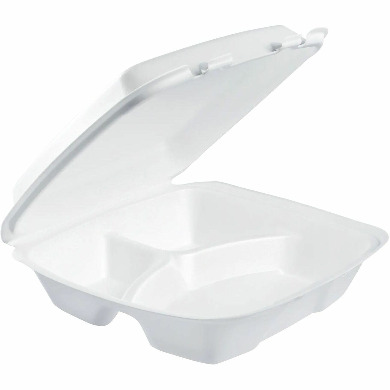 Hinged Container 9 In W 3C