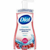 Dixon Soap Foam Ab P.Berries 10Oz