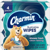 Charmin Flushable Wet Wipes