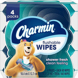 Charmin Flushable Wet Wipes