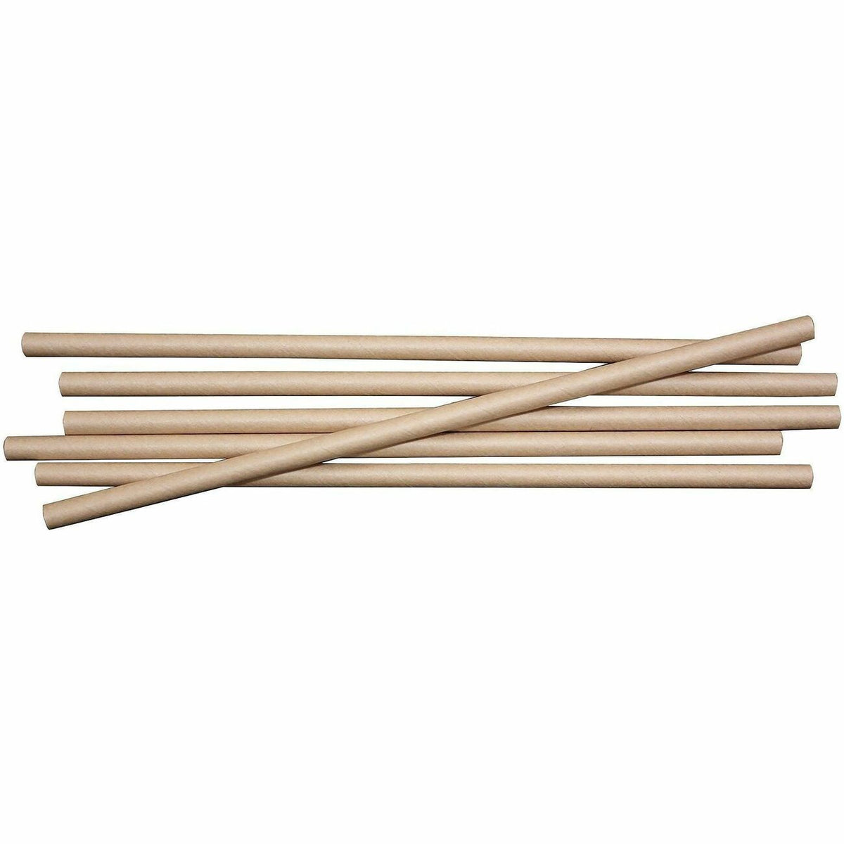 World Centric Compostable Kraft Paper Straws