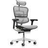 Chair Mesh Multi W/Hr Gry