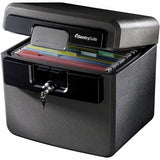 Sentry Safe HD4100 Fire/Water Safe