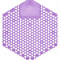Screen Urinal 30-Day