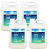 Handsoap Free&Clear 1Gal