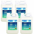 Handsoap Free&Clear 1Gal