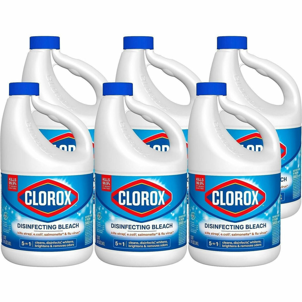 Clorox Disinfecting Bleach
