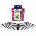 Crayola Pcl Clrd Prem Blnd Shade 24Ct