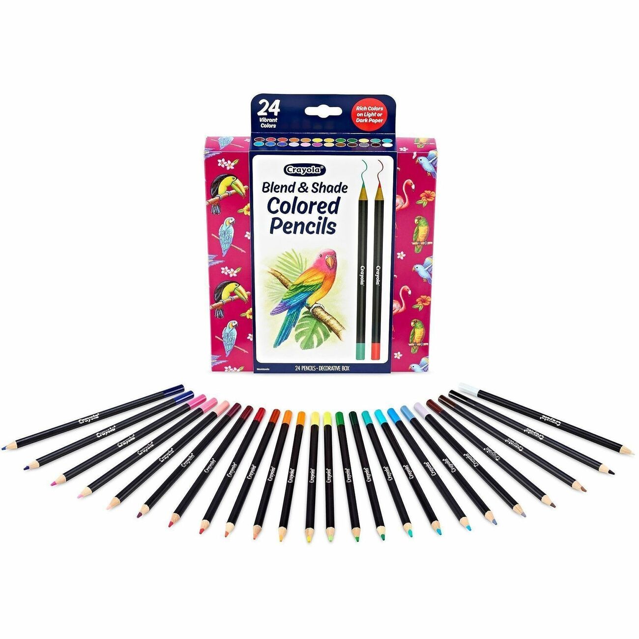 Crayola Pcl Clrd Prem Blnd Shade 24Ct