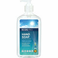 Handsoap Free&Clear 17Oz