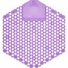 Screen Urinal 30-Day