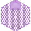 Screen Urinal 30-Day